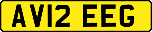 AV12EEG