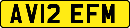 AV12EFM