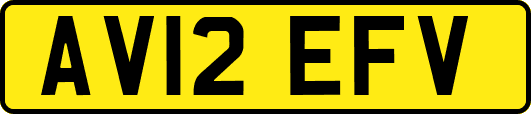 AV12EFV