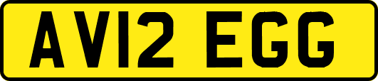AV12EGG