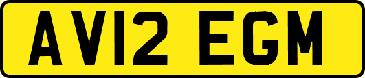 AV12EGM