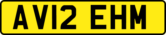 AV12EHM