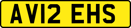 AV12EHS