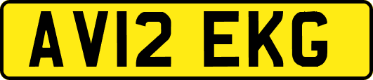 AV12EKG