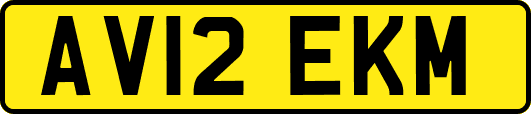 AV12EKM