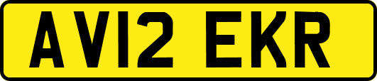 AV12EKR