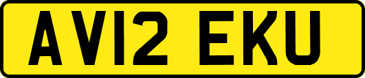 AV12EKU