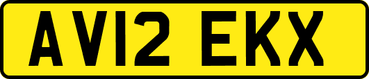 AV12EKX