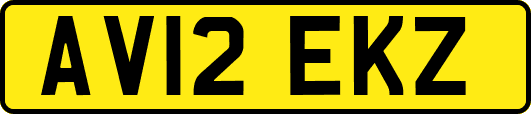 AV12EKZ