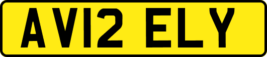 AV12ELY