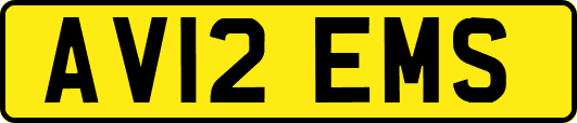 AV12EMS
