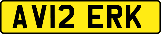 AV12ERK