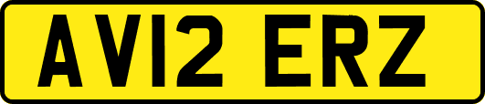 AV12ERZ