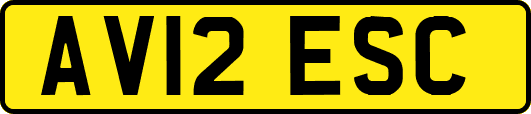 AV12ESC