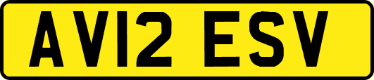 AV12ESV