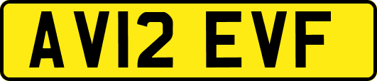 AV12EVF
