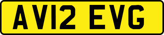 AV12EVG