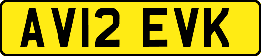 AV12EVK