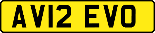AV12EVO