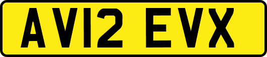 AV12EVX