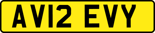 AV12EVY