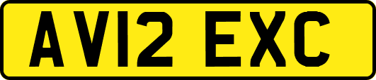 AV12EXC