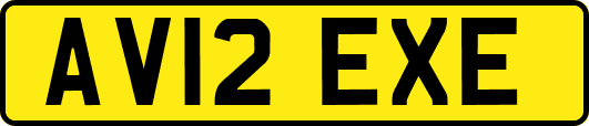 AV12EXE