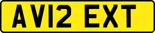 AV12EXT