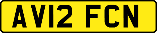 AV12FCN