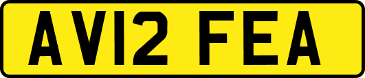 AV12FEA