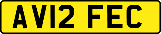 AV12FEC