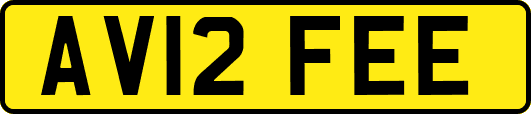AV12FEE