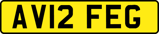 AV12FEG