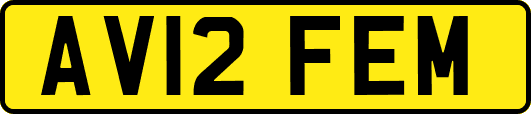 AV12FEM