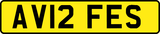 AV12FES