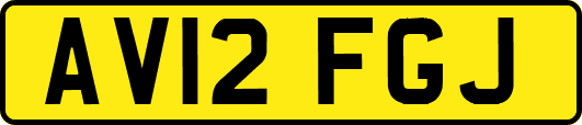 AV12FGJ