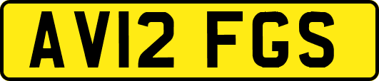 AV12FGS