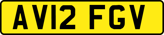 AV12FGV