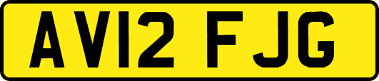 AV12FJG