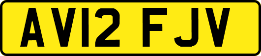 AV12FJV