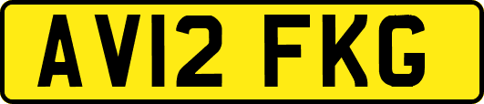 AV12FKG