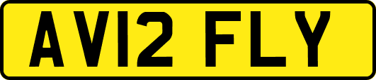 AV12FLY