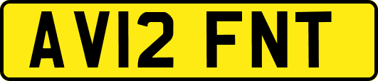 AV12FNT
