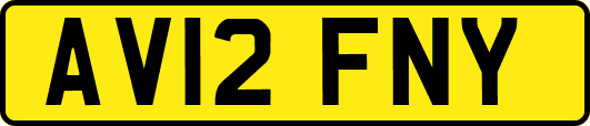 AV12FNY