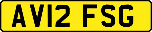 AV12FSG