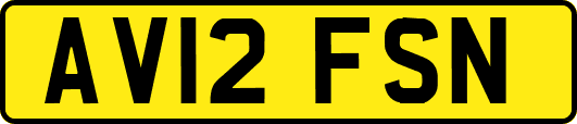 AV12FSN