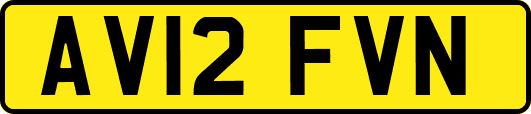 AV12FVN
