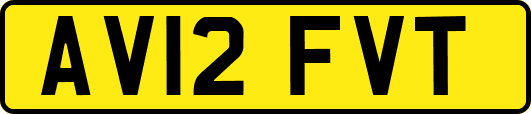 AV12FVT