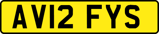 AV12FYS