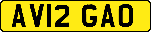 AV12GAO
